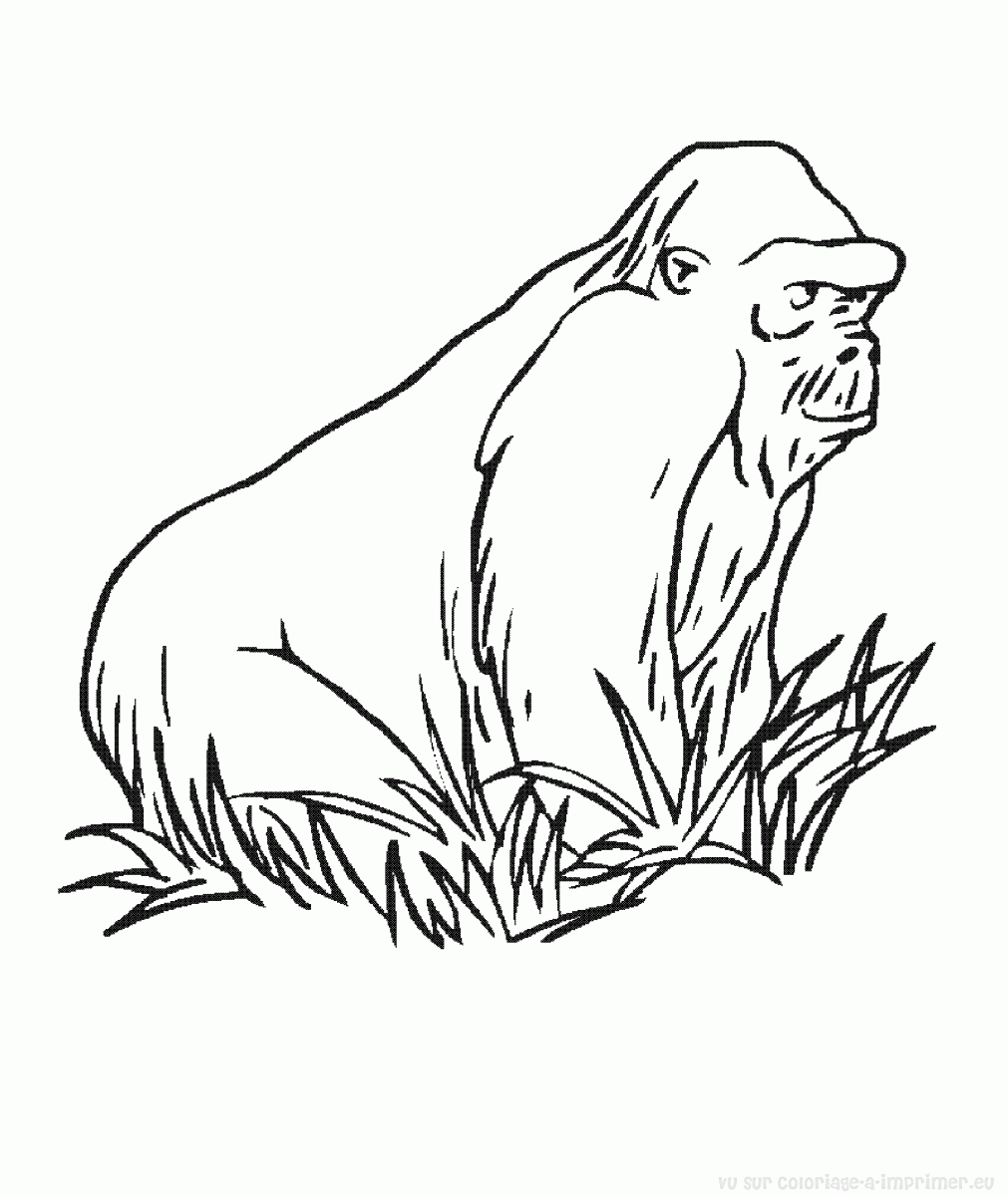 Dessin #13099 - Un beau dessin de gorille a imprimer et colorier