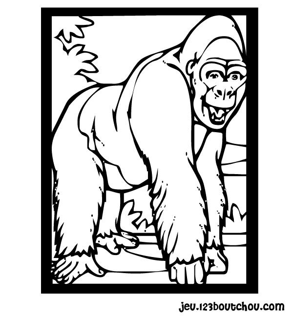Dessin #13101 - coloriage de gorille gratuit à imprimer