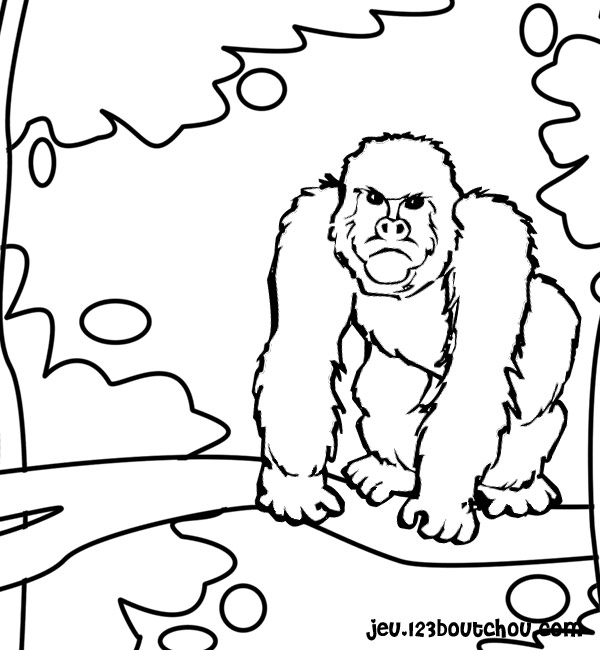 Dessin #13104 - coloriage de gorille à imprimer