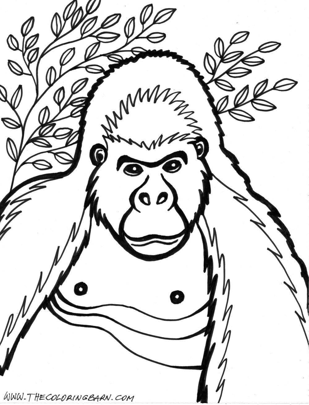 Dessin #13108 - une jolie image de gorille à colorier et imprimer