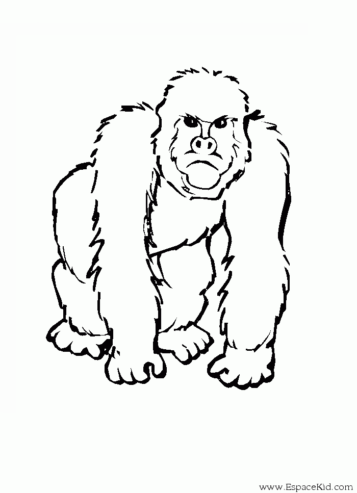 Dessin #13115 - Coloriage de gorille gratuit