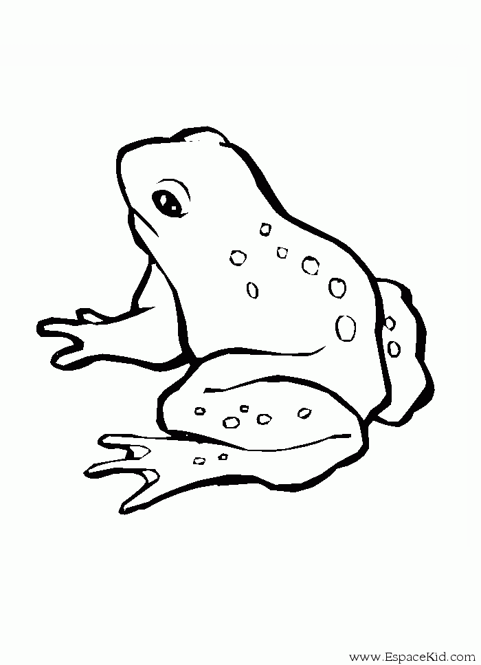 coloriage grenouille : coloriages grenouille