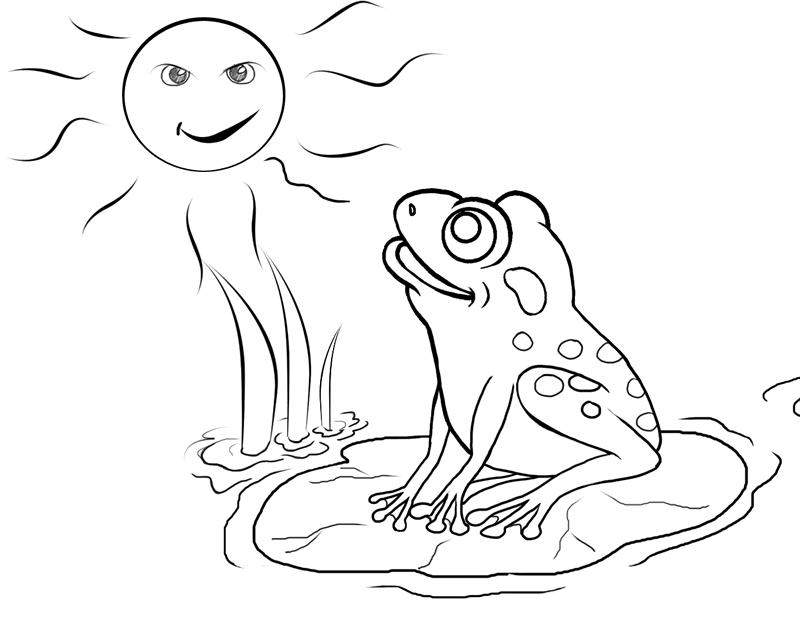 grenouille dessin à colorier 
