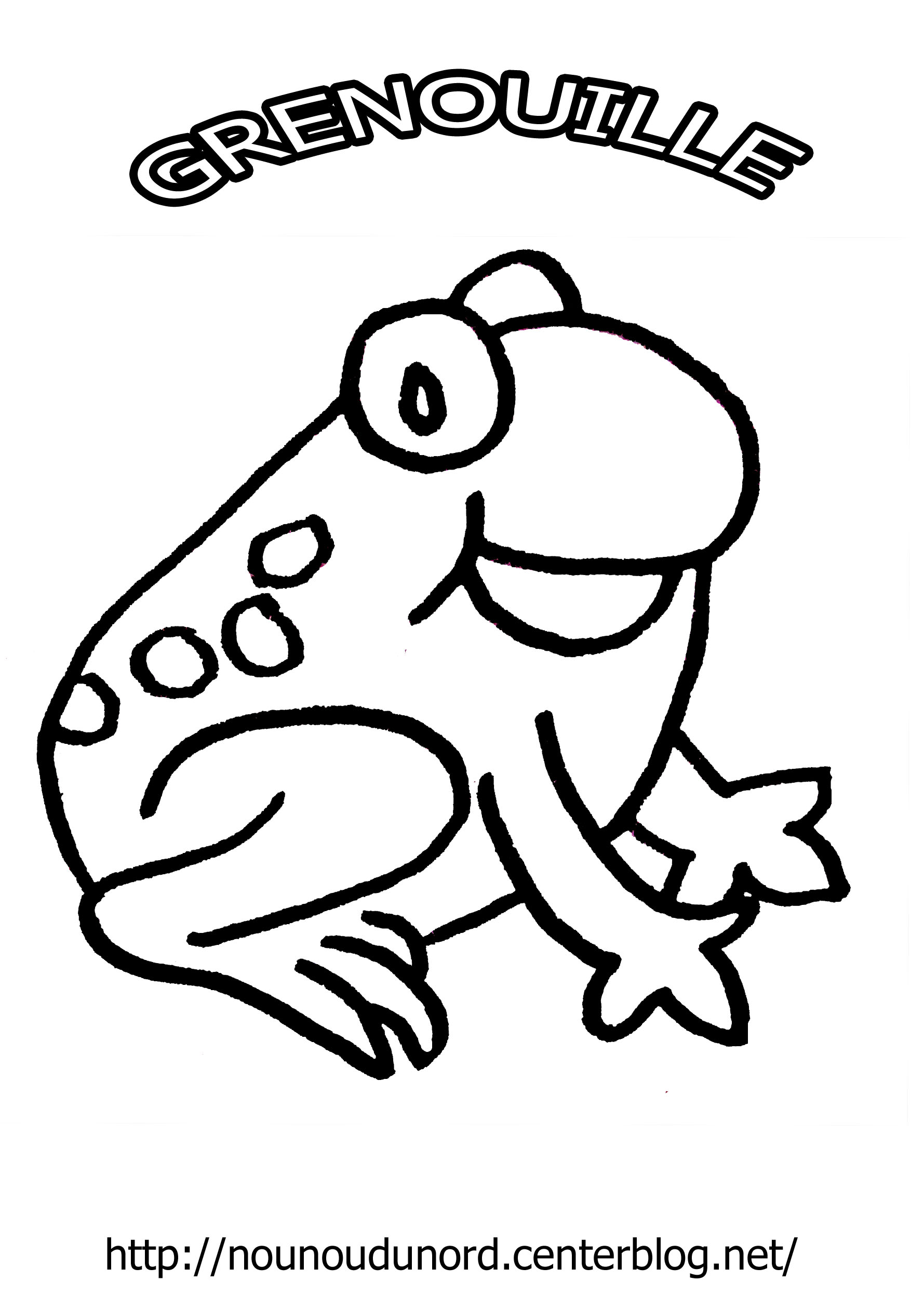 coloriage grenouille dessiné 