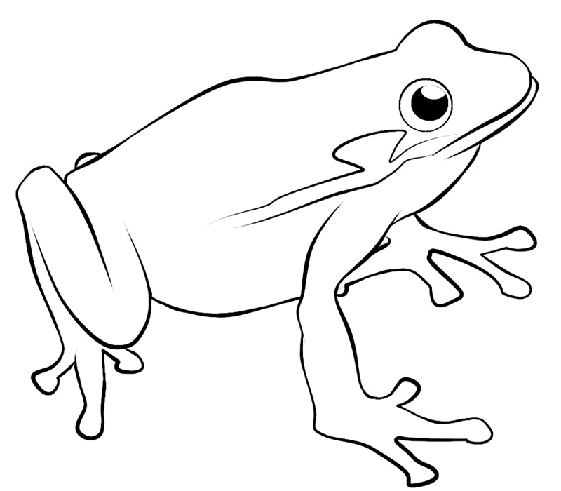 dark frog coloring pages - photo #2