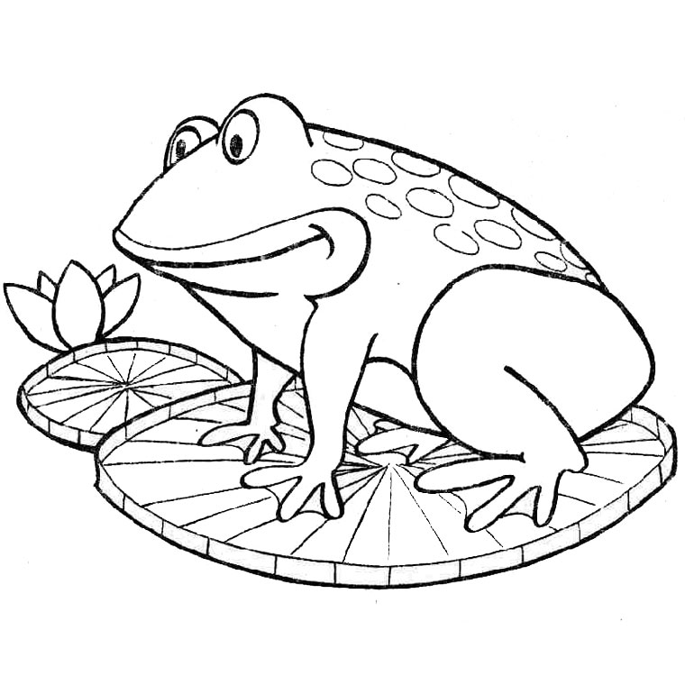 phoà dessineriage grenouille : image gratuite coloriage grenouille