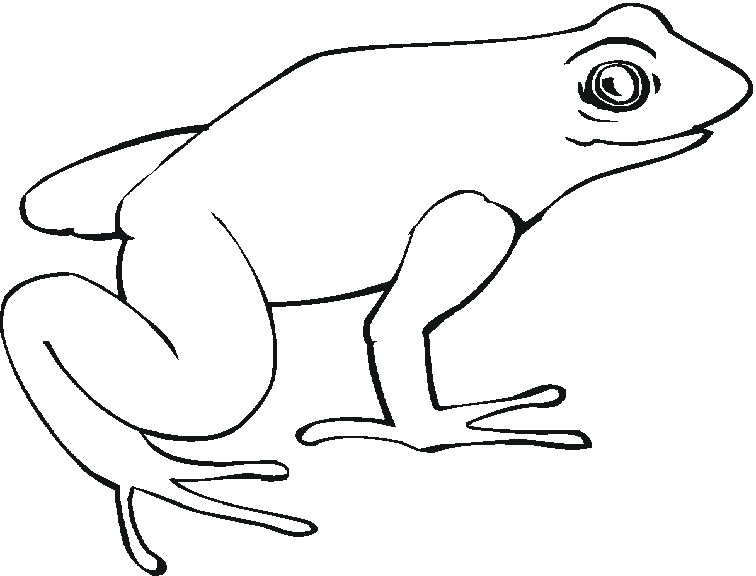  des dessins de grenouille à colorier