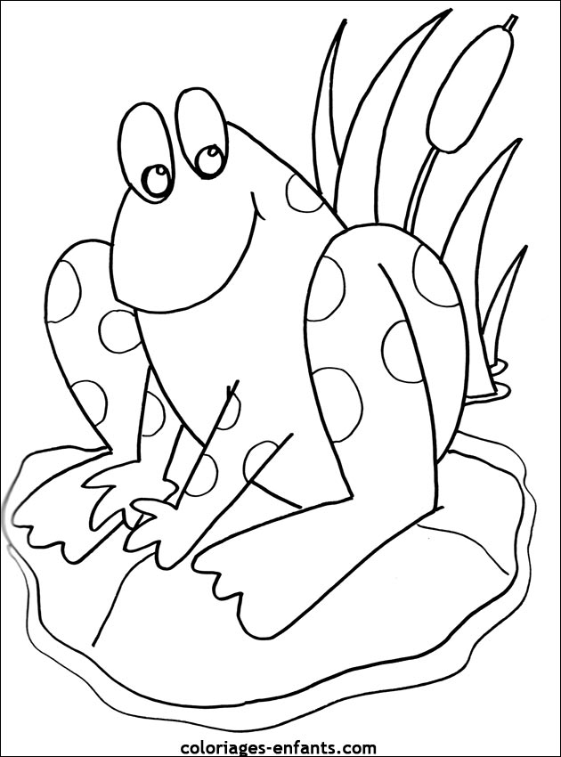 coloriage de grenouille coloriages enfants.com