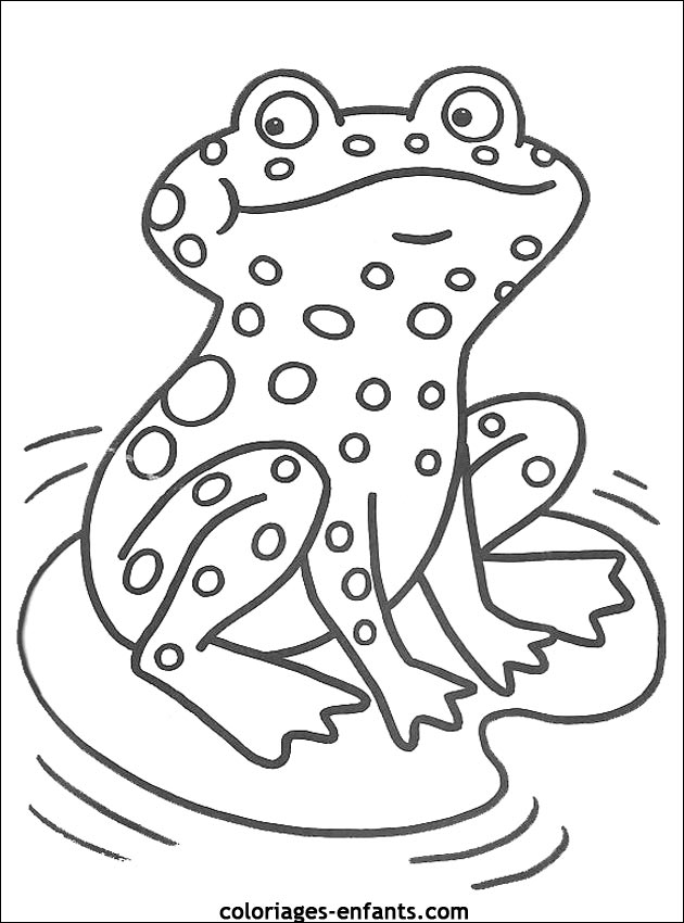 coloriage de grenouille coloriages enfants.com