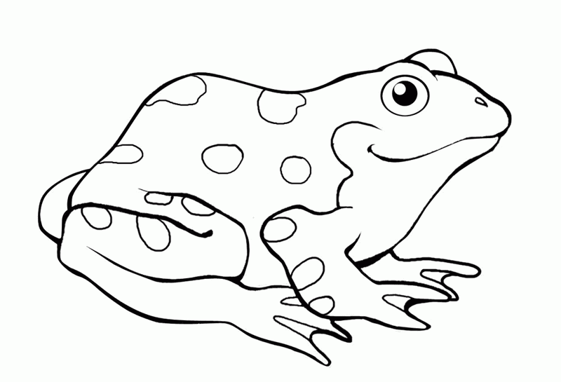 coloriage grenouille 