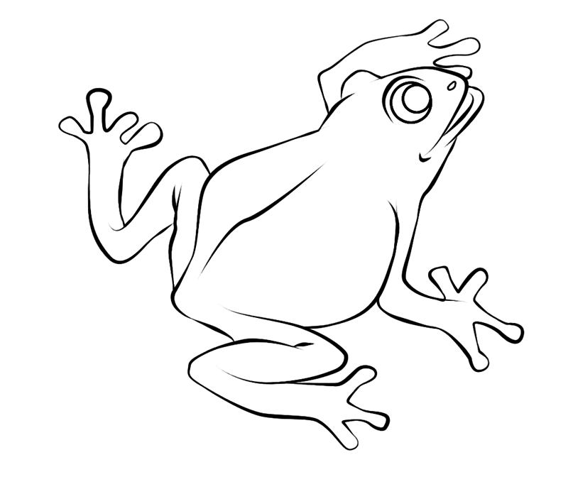 frog dessin à colorier 