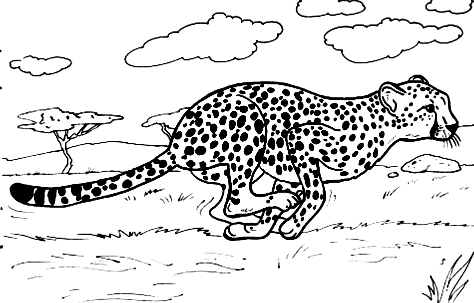 Dessin #13125 - dessin gratuit de guepard à imprimer