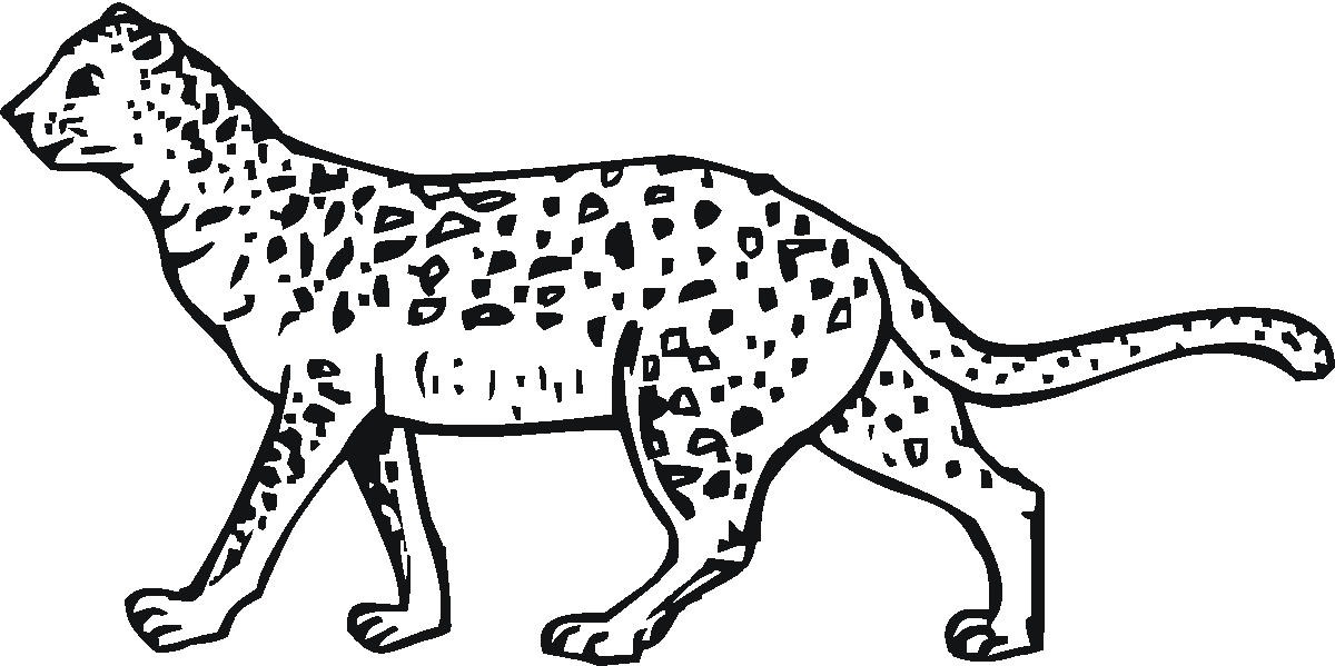 Dessin #13128 - dessin de guepard