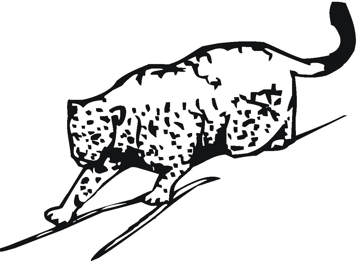 Dessin #13133 - une jolie image de guepard à colorier pour t'amuser