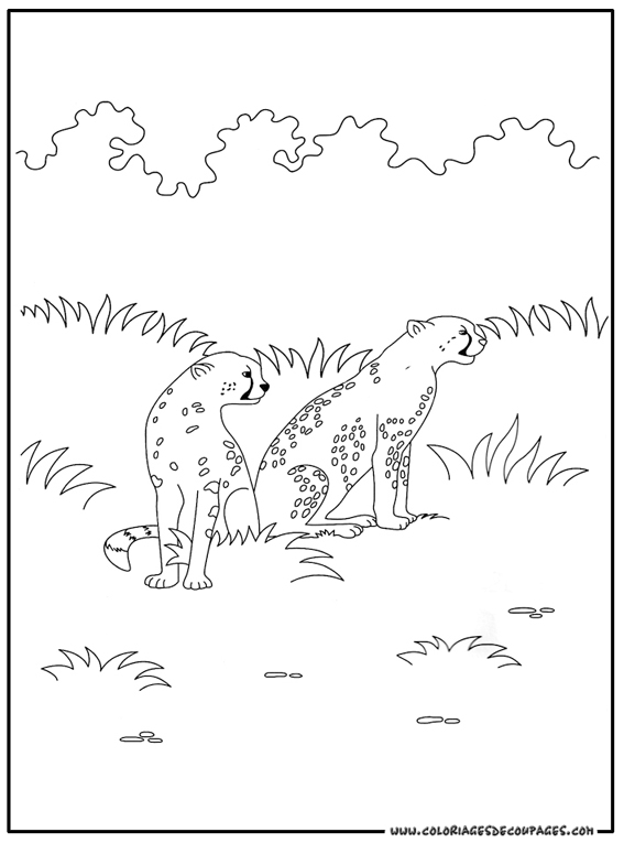 Dessin #13140 - dessin de guepard a imprimer
