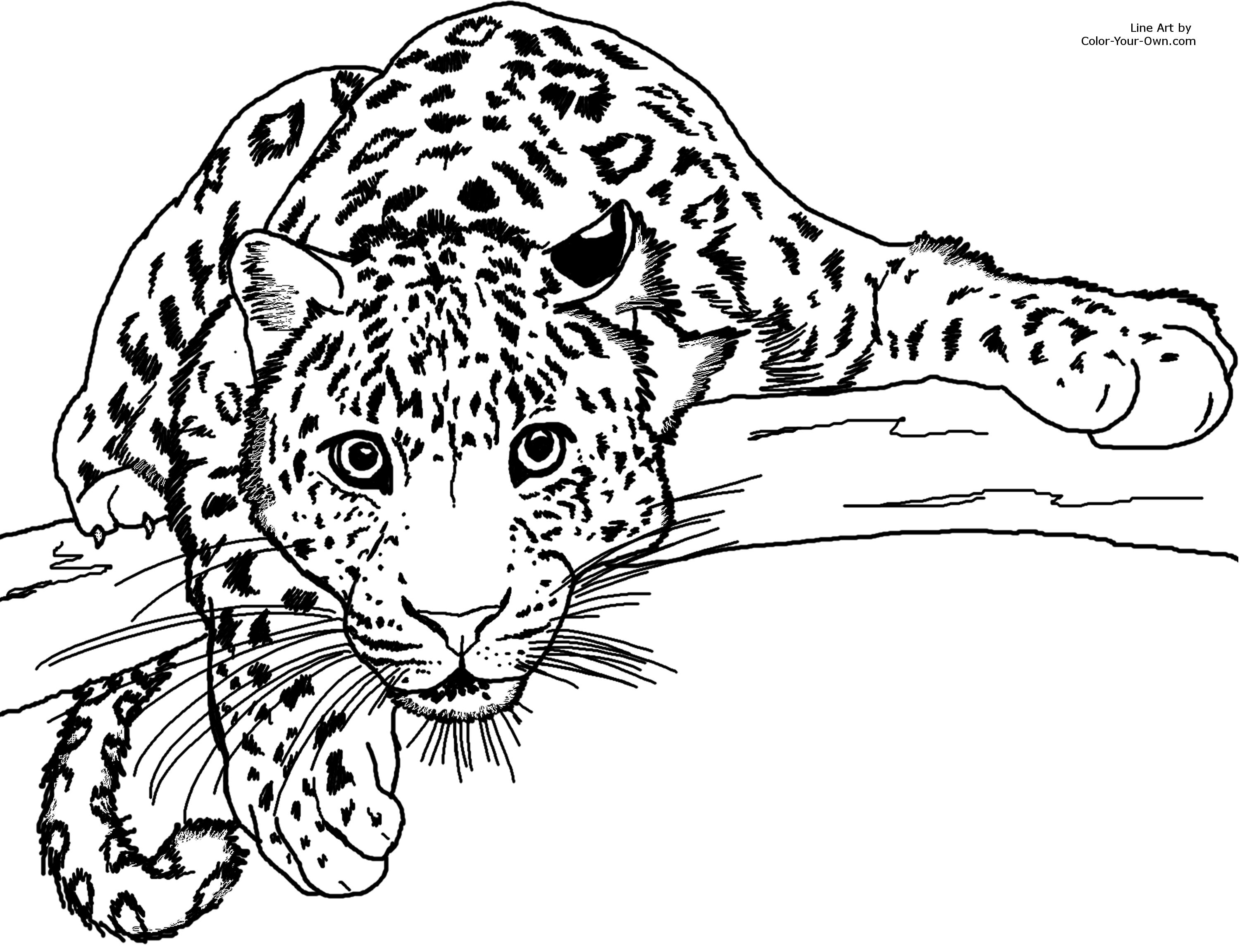 Dessin #13144 - dessin guepard