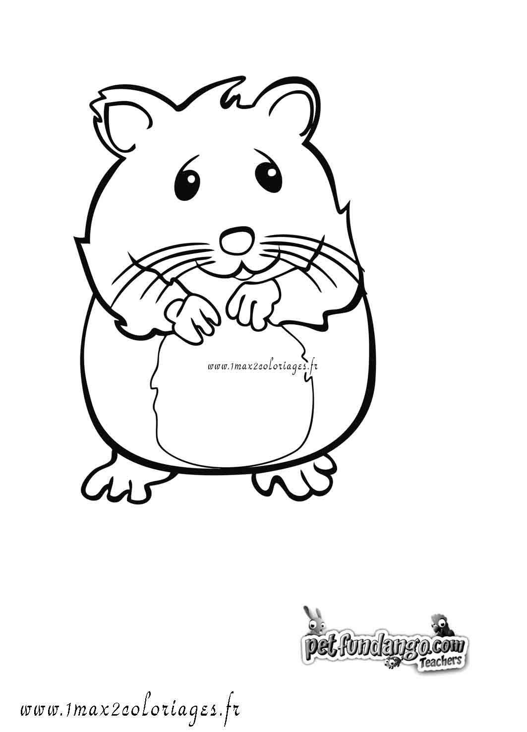 Dessin #13147 - Dessin gratuit de hamster a imprimer