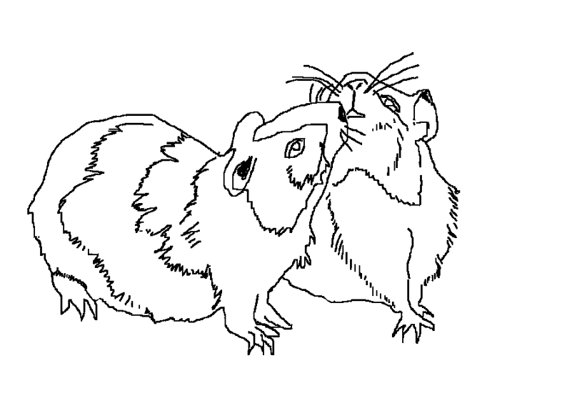 Dessin #13152 - coloriage hamster