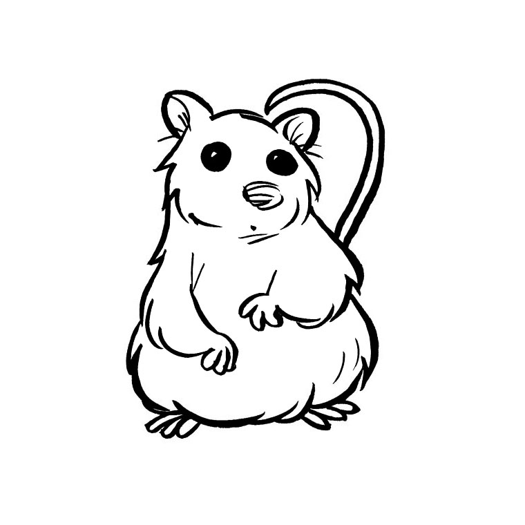 Dessin #13155 - Coloriage hamster