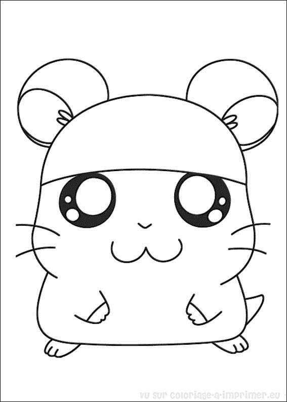 Dessin #13168 - une jolie image de hamster a colorier - niveau débutant