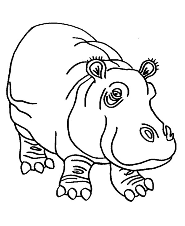 Coloriage gratuit de hippopotame à imprimer