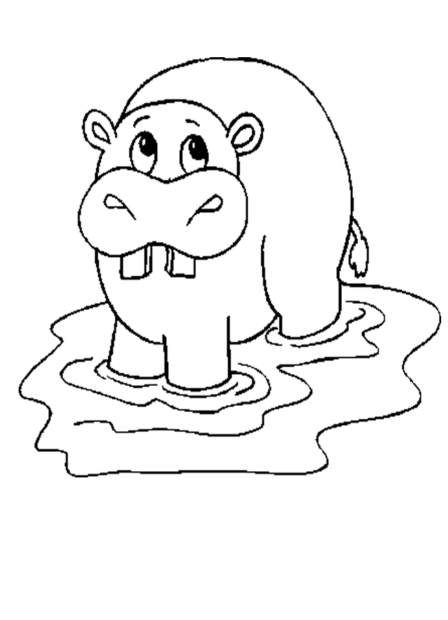 Dessin de hippopotame a imprimer