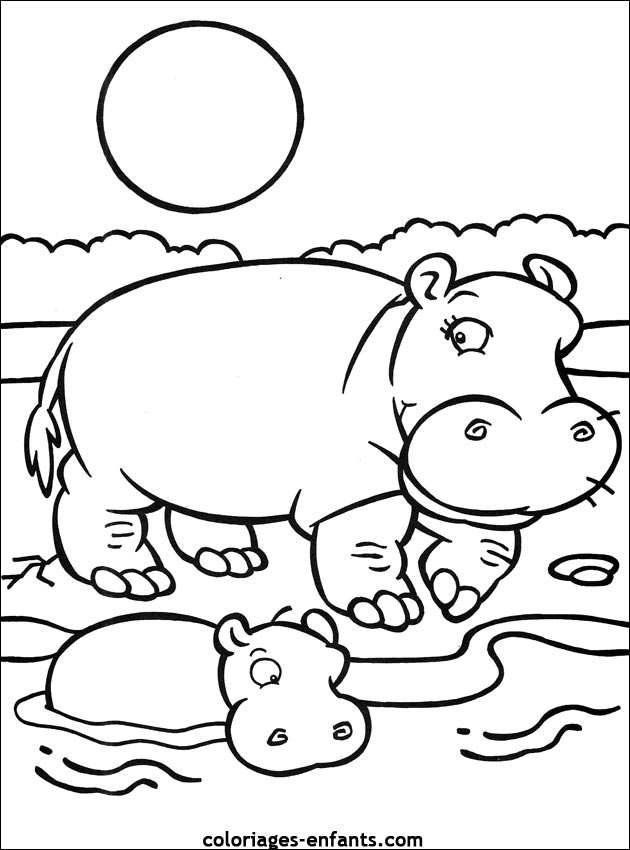 Image de hippopotame a dessiner