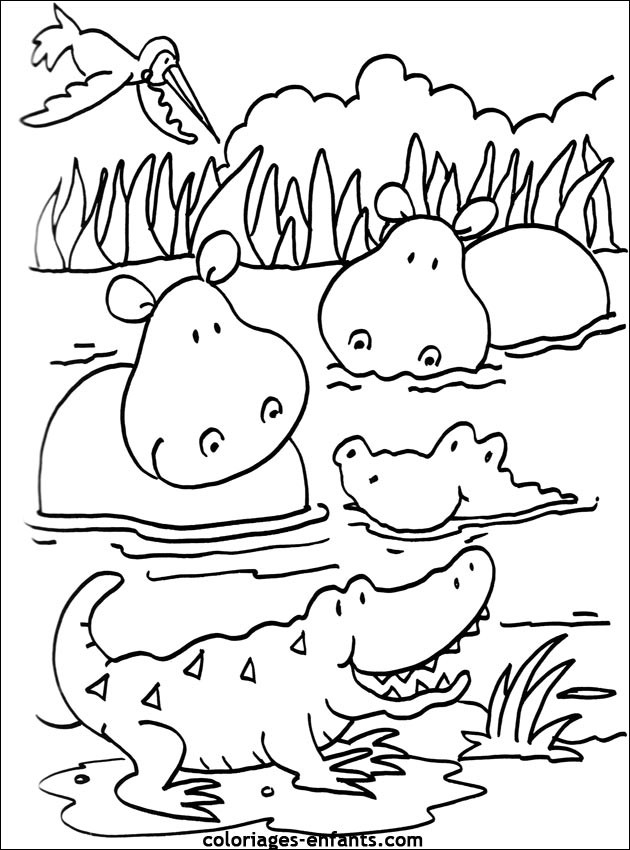 Coloriage hippopotame imprimer et colorier