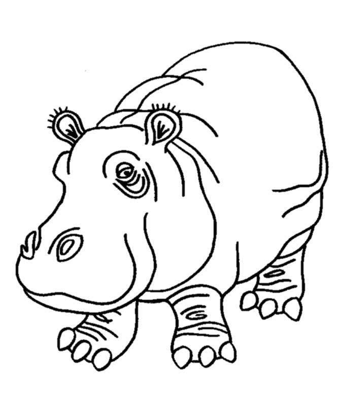 Image de hippopotame a imprimer et colorier