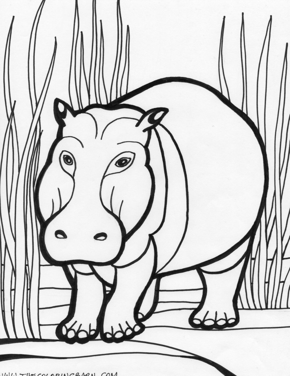 Activité de coloriage hippopotame a colorier