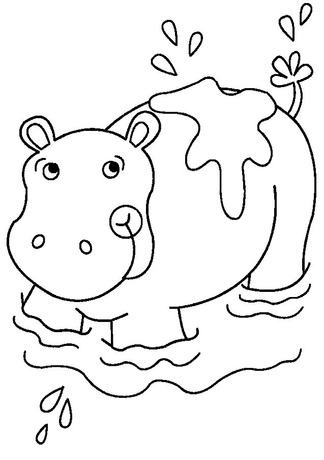 Dessin de hippopotame gratuit a imprimer et colorier