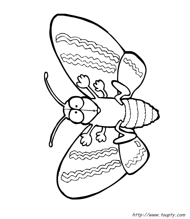 coloriage insecte