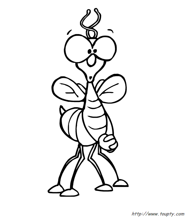 coloriage insecte 