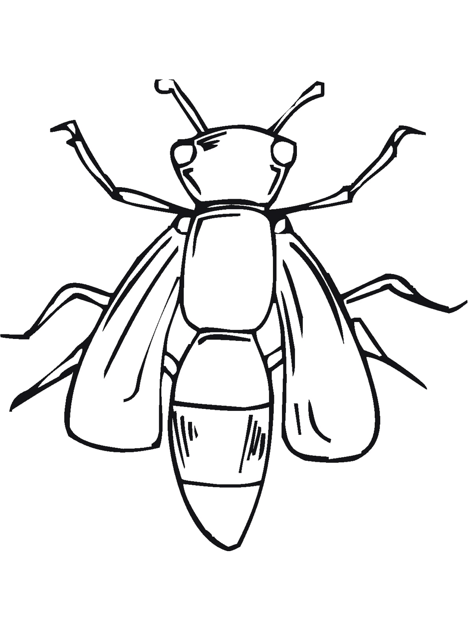 bug & insect dessins à colorier primarygames.com