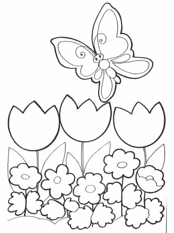 Coloriage D Un Jardin