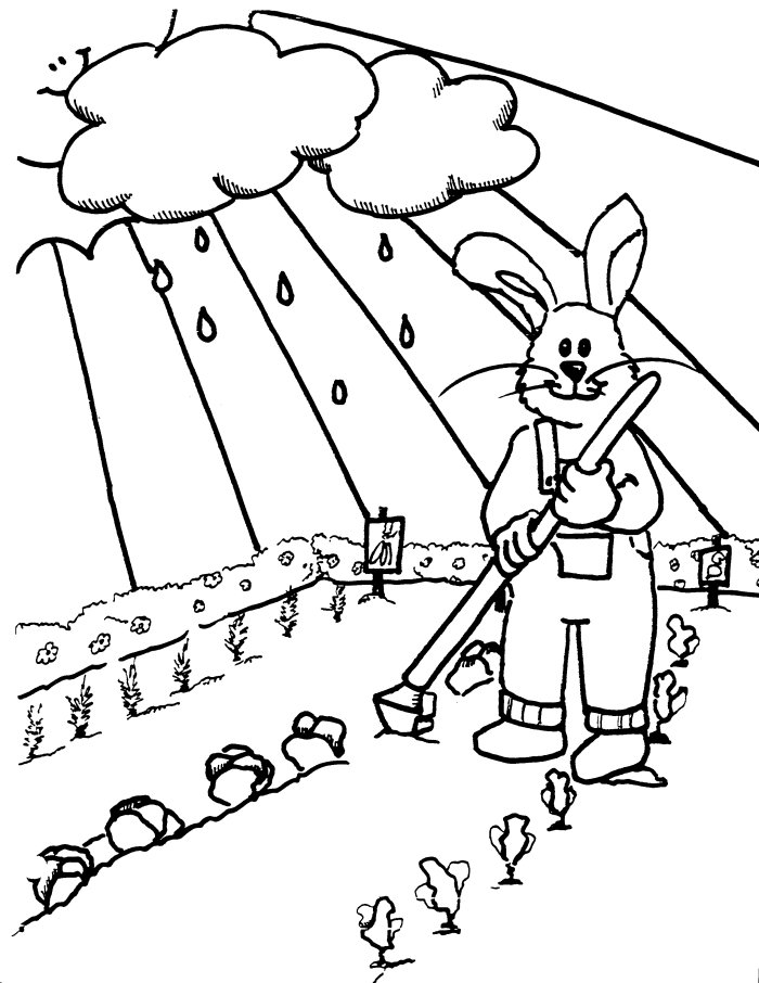 rabbit in the jardin coloriage 
