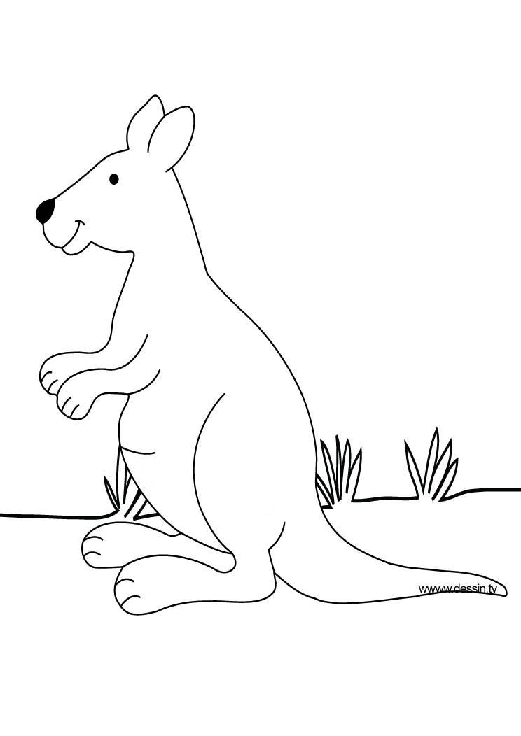 Dessin #13248 - Dessin de kangourou gratuit à imprimer et colorier