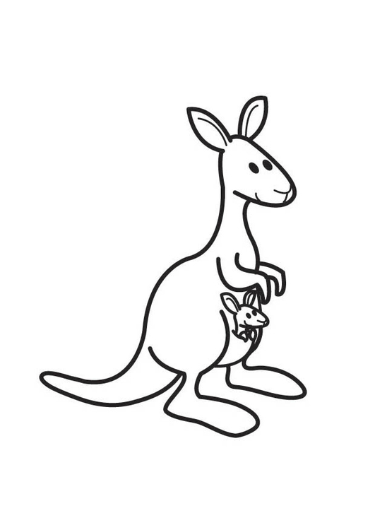 Dessin #13250 - dessin de kangourou