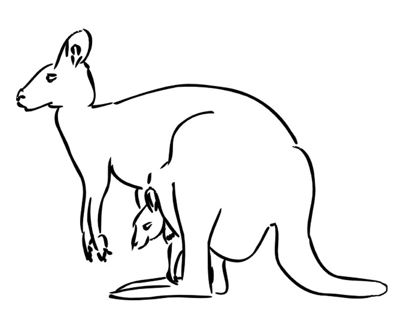 Dessin #13260 - Dessin de kangourou