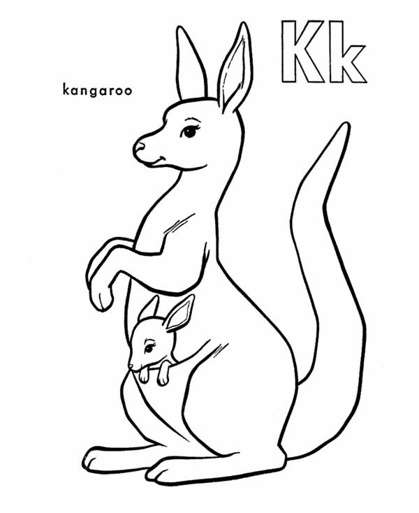 Dessin #13268 - Dessin de kangourou gratuit