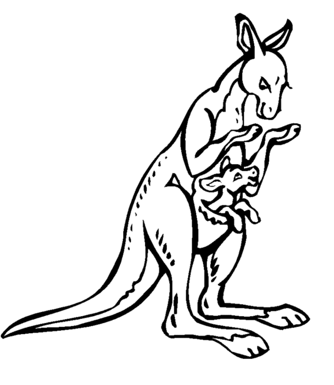 Dessin #13270 - coloriage de kangourou imprimer et colorier