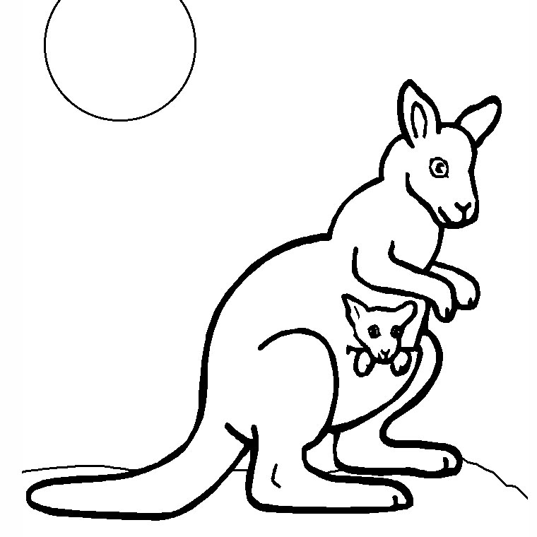 Dessin #13275 - Coloriage kangourou a imprimer