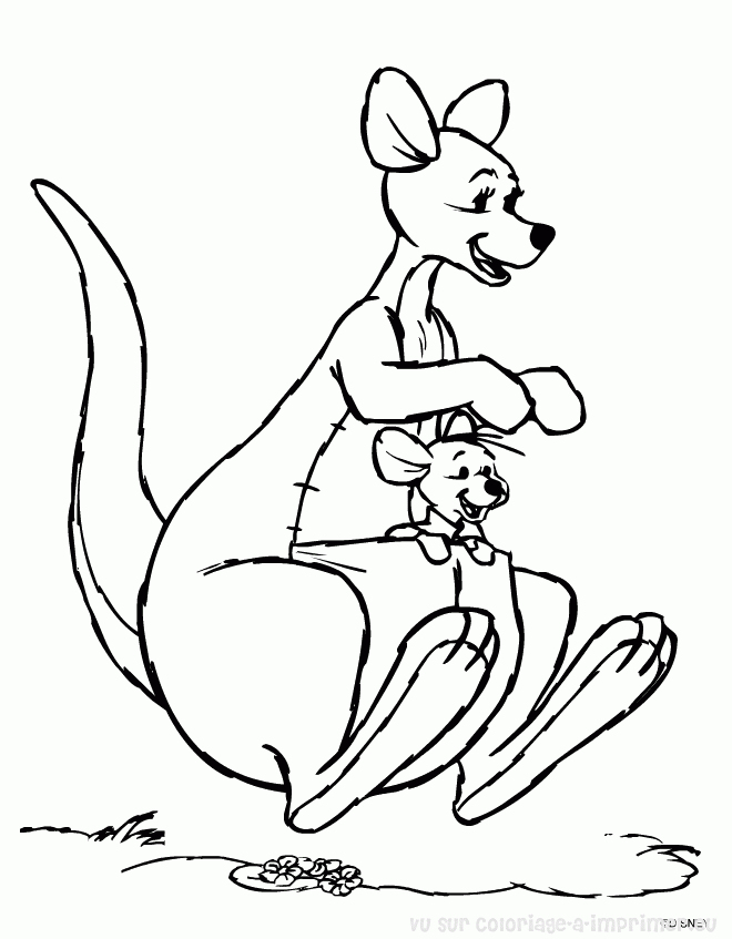 Dessin #13276 - dessin gratuit kangourou a colorier