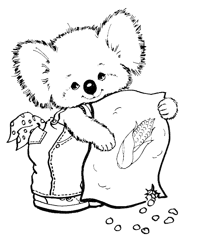 Image de koala a imprimer et colorier
