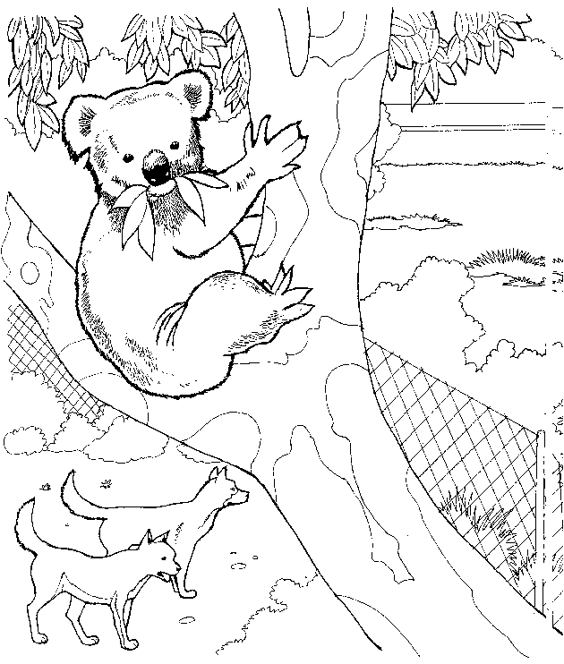 Jeux de coloriage koala