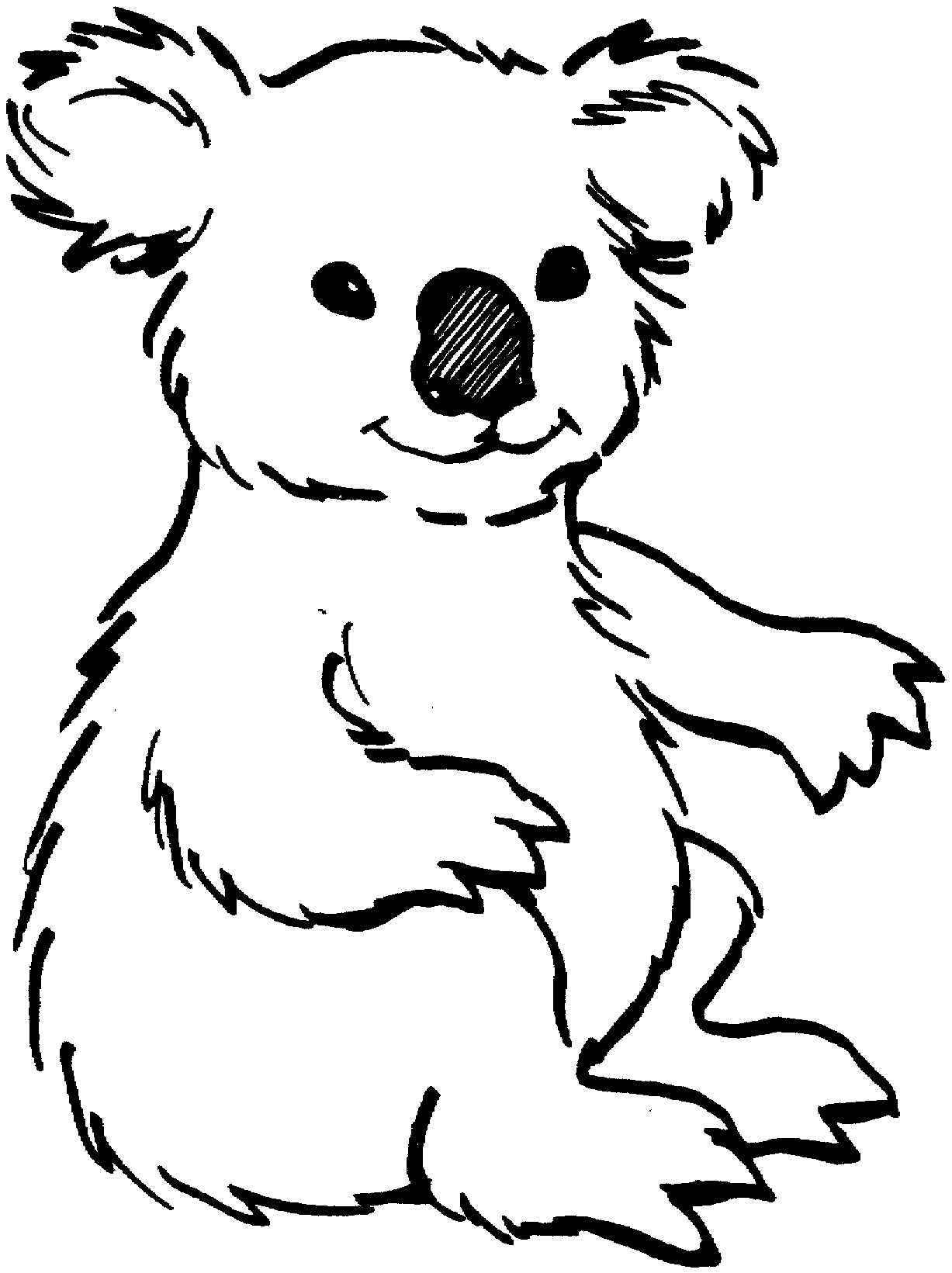 Coloriage de koala