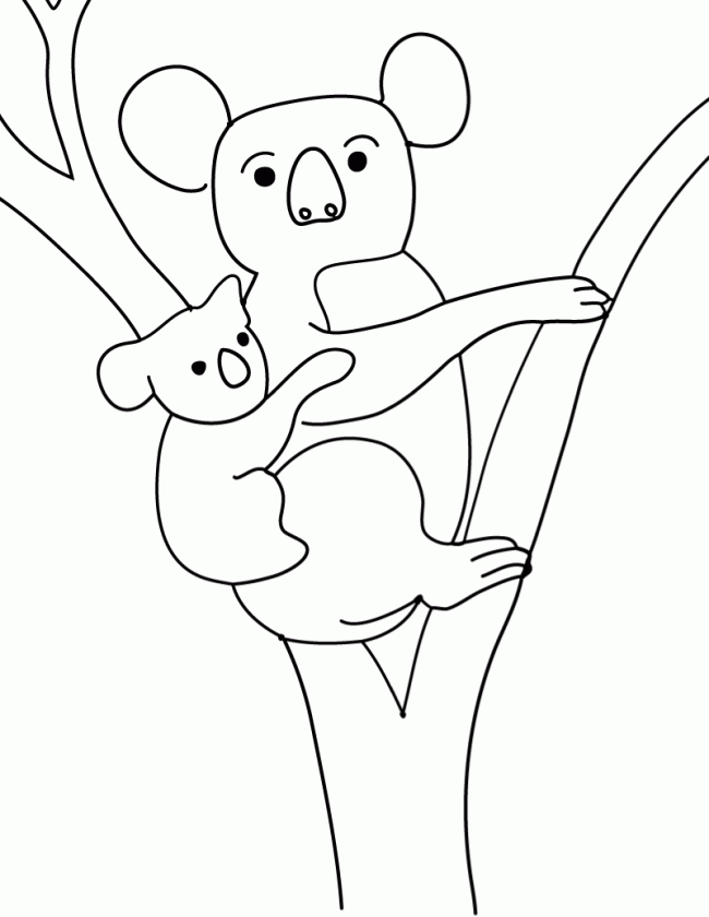 Coloriage gratuit de koala à imprimer