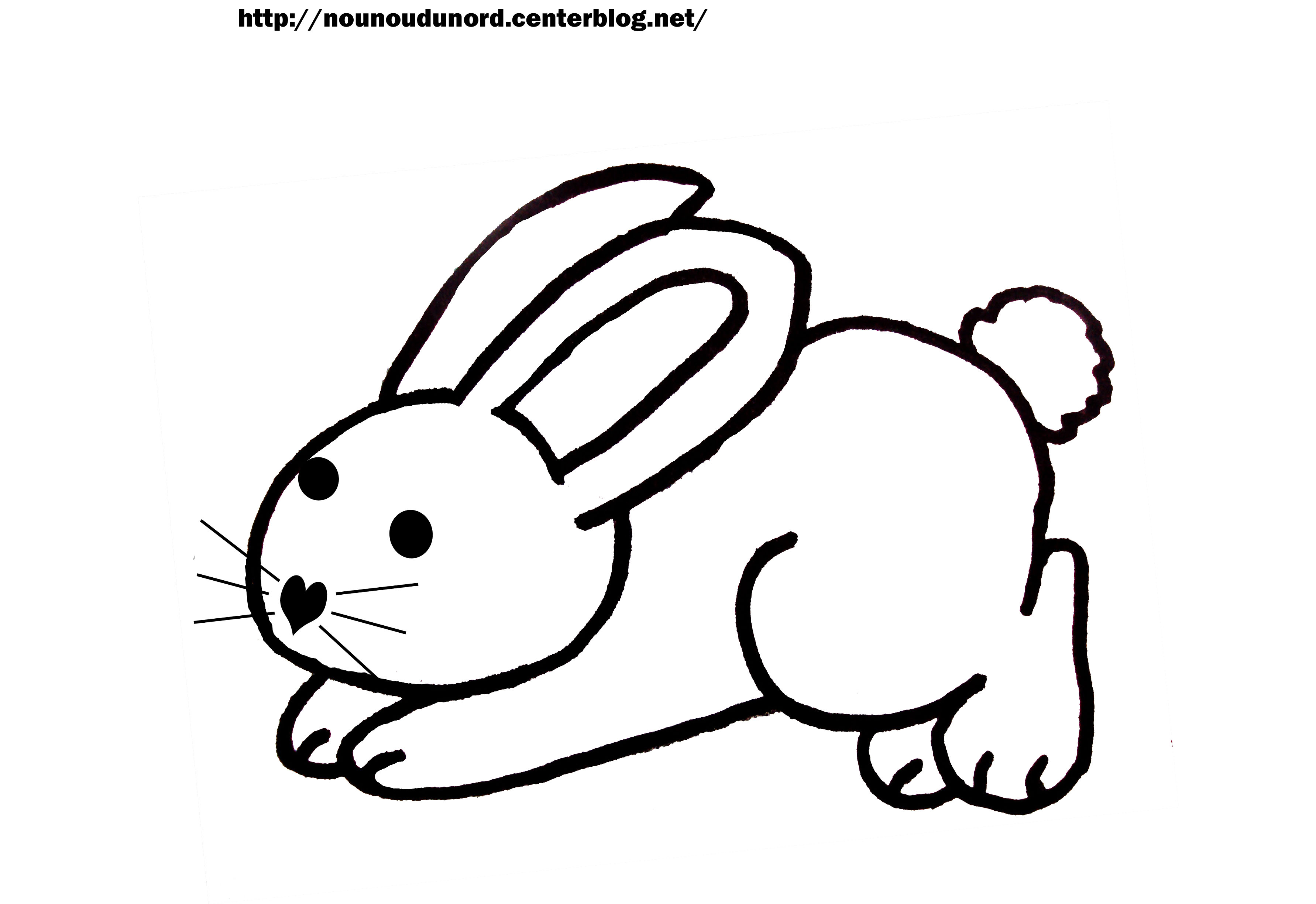 Coloriage Lapin Et Chat