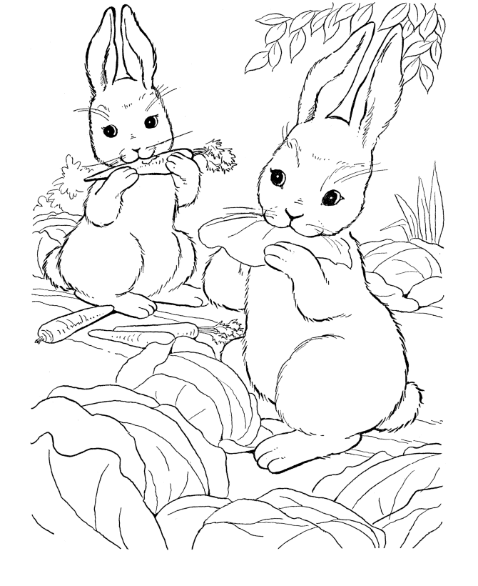 Dessin gratuit de lapin a imprimer et colorier