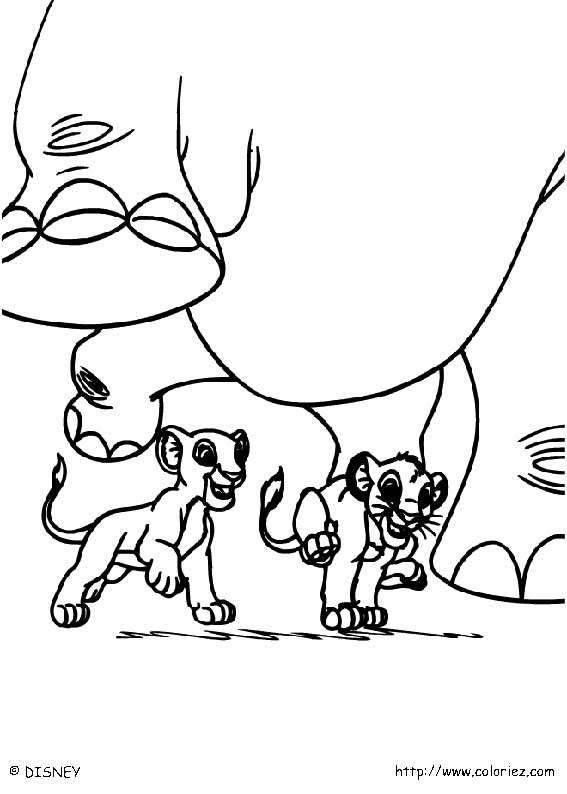 Dessin #11829 - dessin de le roi lion à colorier et imprimer
